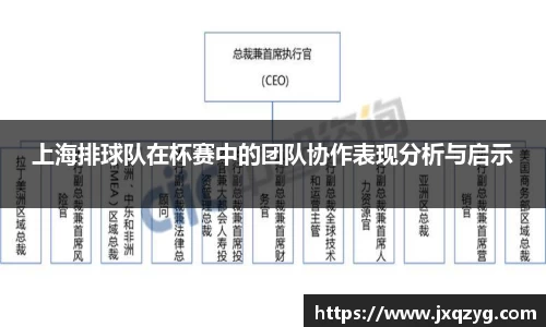 上海排球队在杯赛中的团队协作表现分析与启示