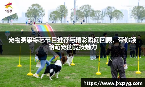 bsports官网 必一运动