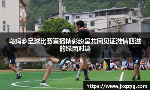 bsports官网 必一运动