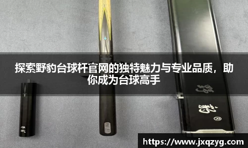 探索野豹台球杆官网的独特魅力与专业品质，助你成为台球高手
